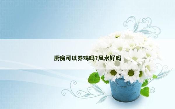 廚房可以養雞嗎?風水好嗎