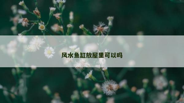 風水魚缸放屋里可以嗎