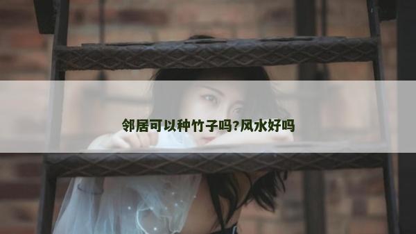 鄰居可以種竹子嗎?風水好嗎