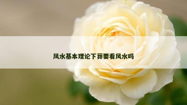 風水基本理論下葬要看風水嗎
