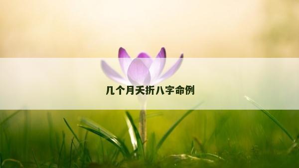 幾個月夭折八字命例