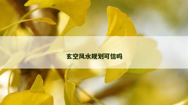 玄空風(fēng)水規(guī)劃可信嗎