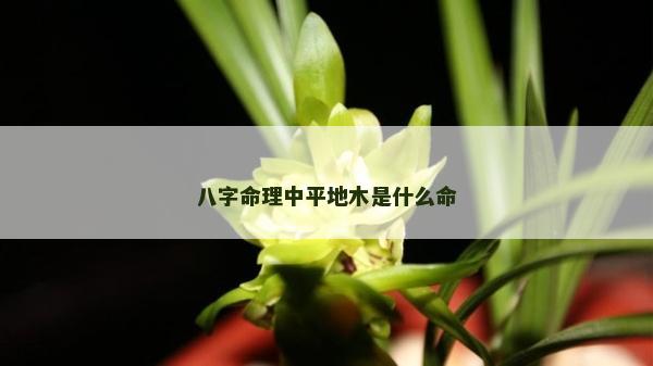 八字命理中平地木是什么命