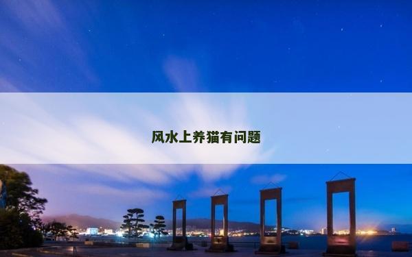 風水上養貓有問題