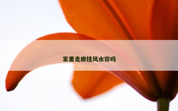 家里走廊掛風水簾嗎