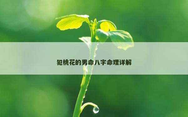 犯桃花的男命八字命理詳解