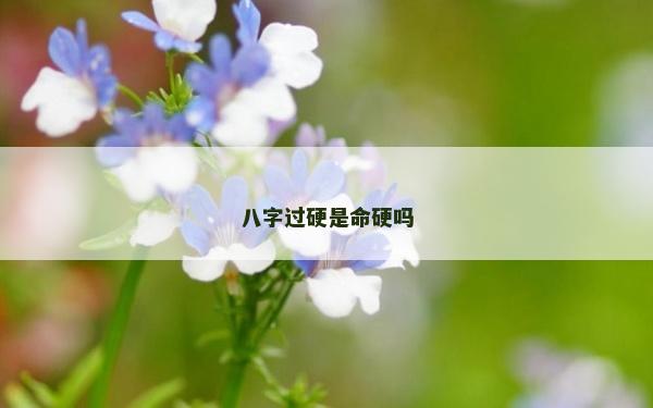 八字過硬是命硬嗎