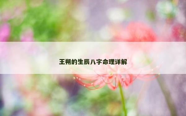 王朔的生辰八字命理詳解