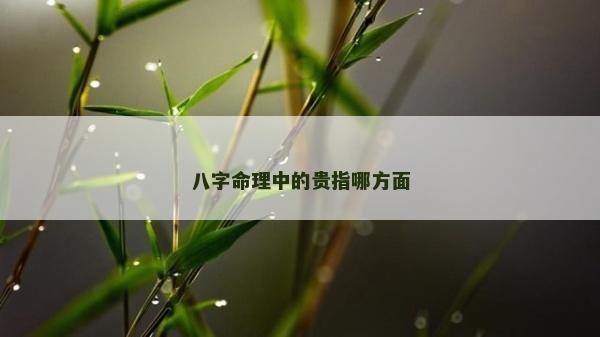 八字命理中的貴指哪方面 八字命理中的貴指哪方面