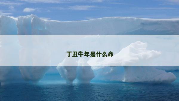 丁丑牛年是什么命