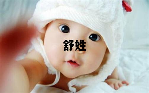 舒姓取名朗朗上口的男寶寶名字