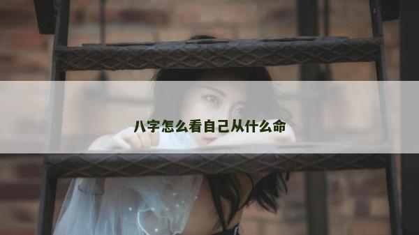 八字怎么看自己從什么命