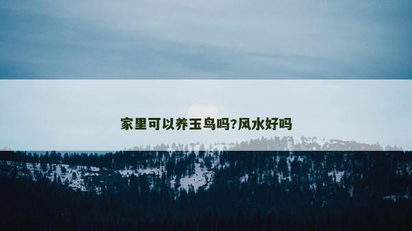 家里可以養(yǎng)玉鳥(niǎo)嗎?風(fēng)水好嗎