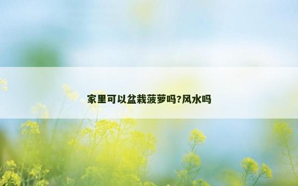 家里可以盆栽菠蘿嗎?風水嗎
