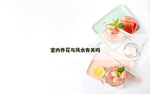 室內(nèi)養(yǎng)花與風(fēng)水有關(guān)嗎