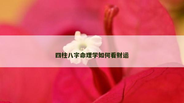 四柱八字命理學如何看財運