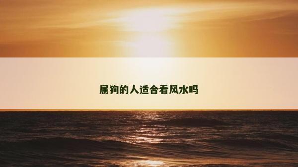 屬狗的人適合看風(fēng)水嗎 屬狗的人適合看風(fēng)水嗎