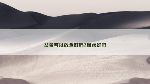 盆景可以放魚缸嗎?風水好嗎