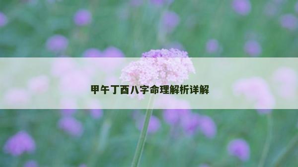 甲午丁酉八字命理解析詳解
