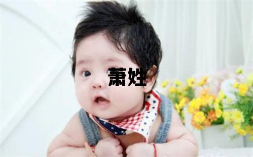 蕭姓取名有涵養的女寶寶名字