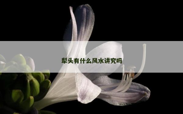 犁頭有什么風水講究嗎