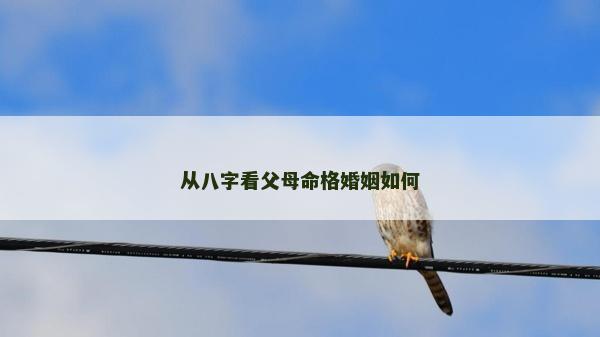 從八字看父母命格婚姻如何