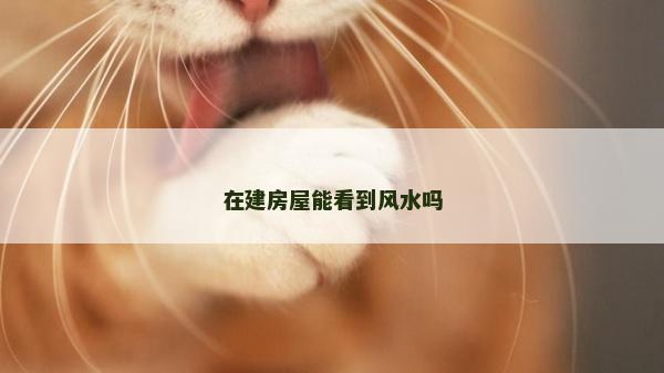 在建房屋能看到風水嗎