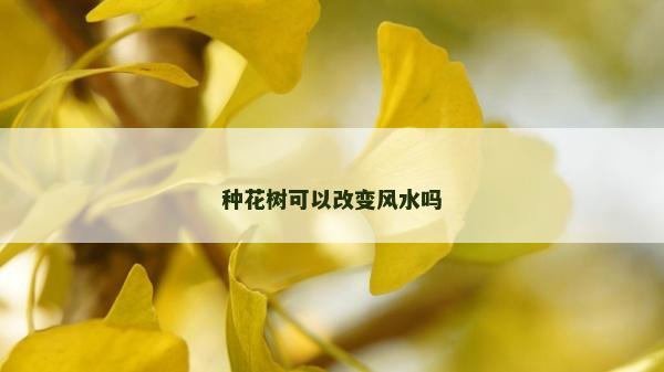 種花樹(shù)可以改變風(fēng)水嗎