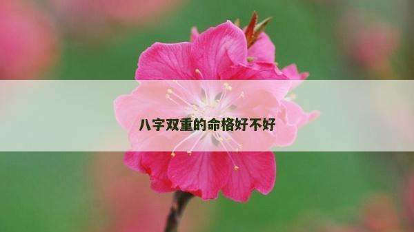 八字雙重的命格好不好