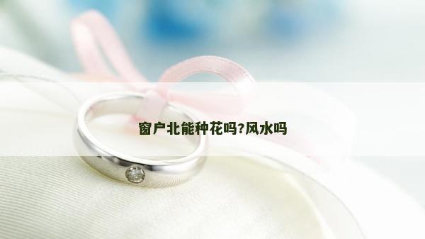 窗戶北能種花嗎?風(fēng)水嗎 窗戶北能種花嗎?風(fēng)水嗎