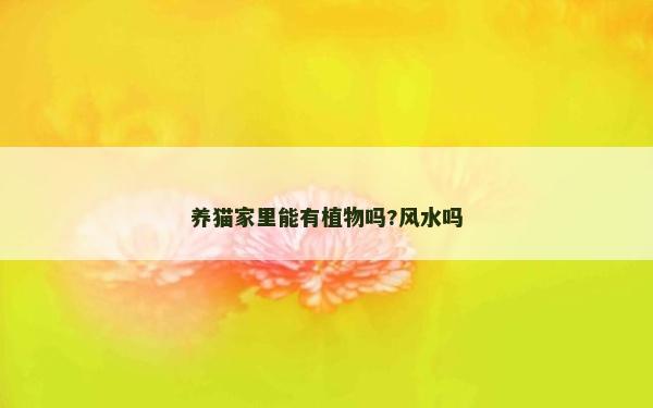 養貓家里能有植物嗎?風水嗎