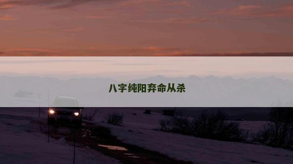 八字純陽棄命從殺