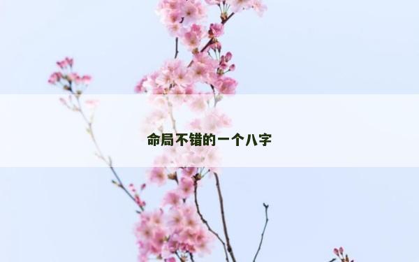 命局不錯的一個八字