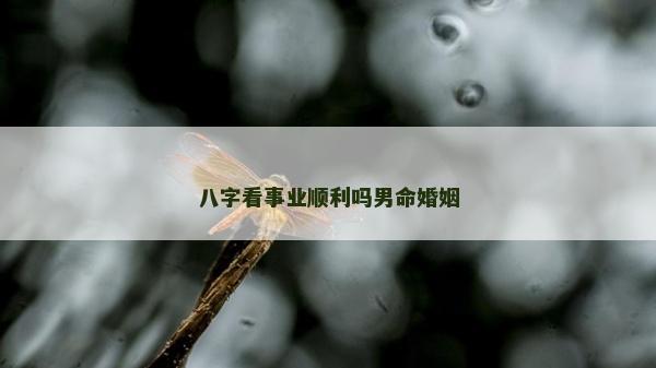 八字看事業順利嗎男命婚姻