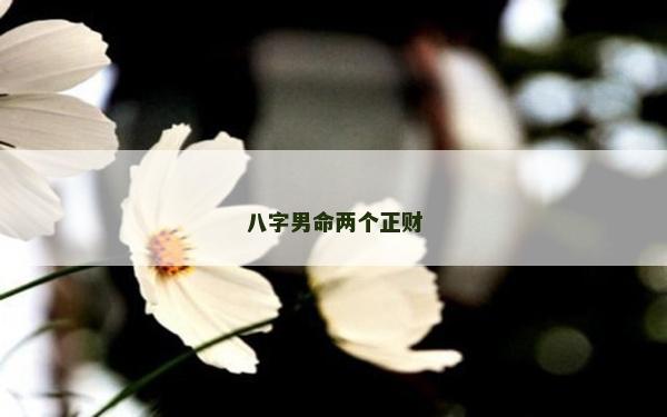 八字男命兩個正財