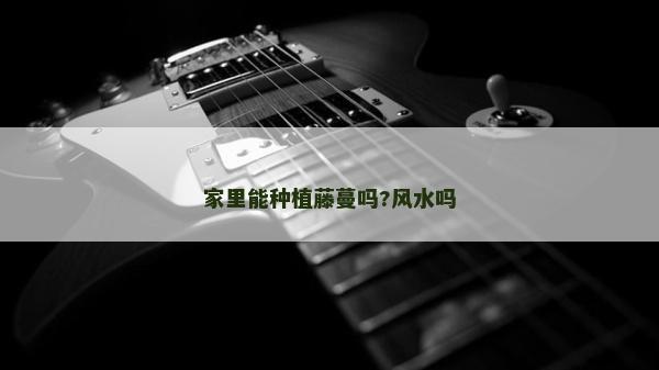家里能種植藤蔓嗎?風水嗎