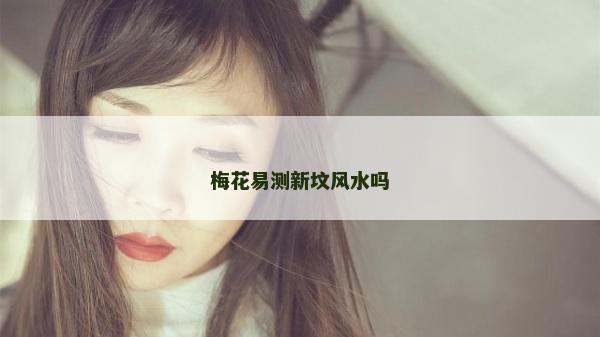 梅花易測新墳風水嗎