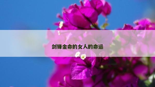 劍鋒金命的女人的命運(yùn)