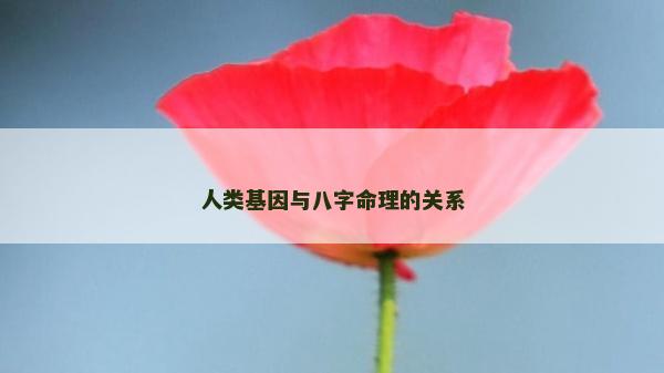 人類基因與八字命理的關系