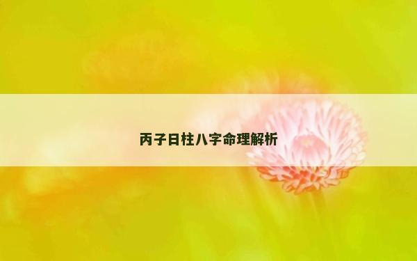 丙子日柱八字命理解析