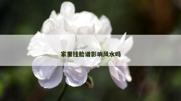 家里掛臉譜影響風水嗎