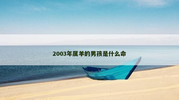 2003年屬羊的男孩是什么命