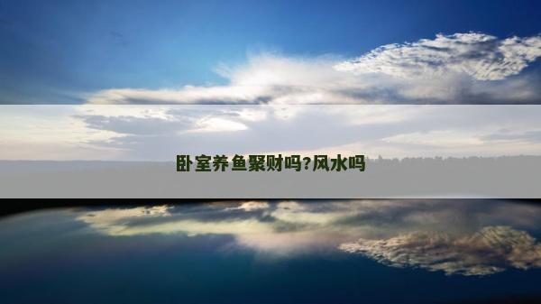 臥室養魚聚財嗎?風水嗎