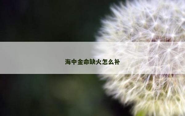 海中金命缺火怎么補