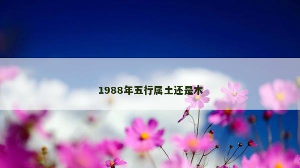 1988年五行屬土還是木 1988年五行屬土還是木