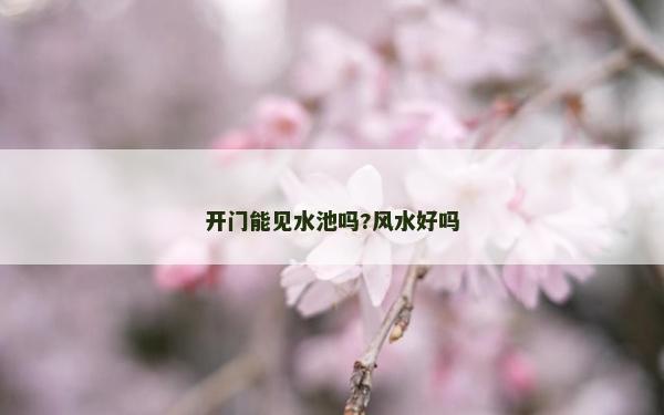開門能見水池嗎?風水好嗎