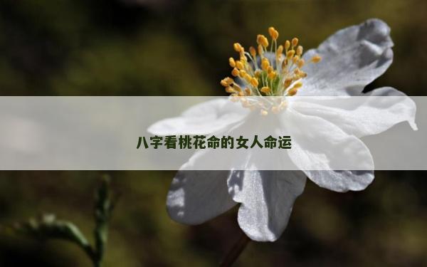 八字看桃花命的女人命運