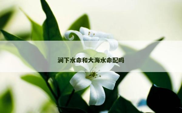 澗下水命和大海水命配嗎