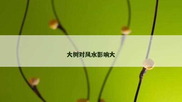 大樹對風(fēng)水影響大