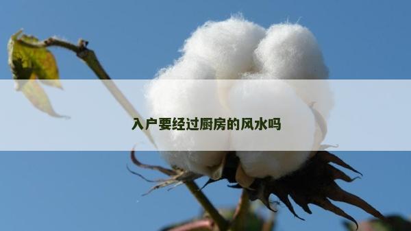 入戶要經過廚房的風水嗎